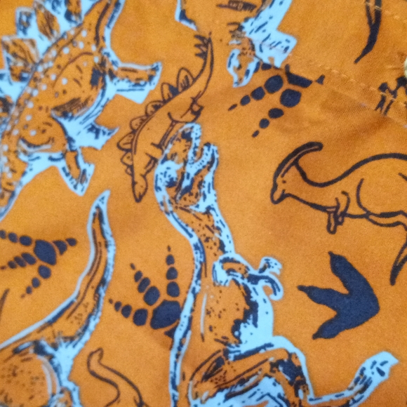 Craft + Flow Dinosaur Button Shirt Orange 4 5 - Picture 2 of 5